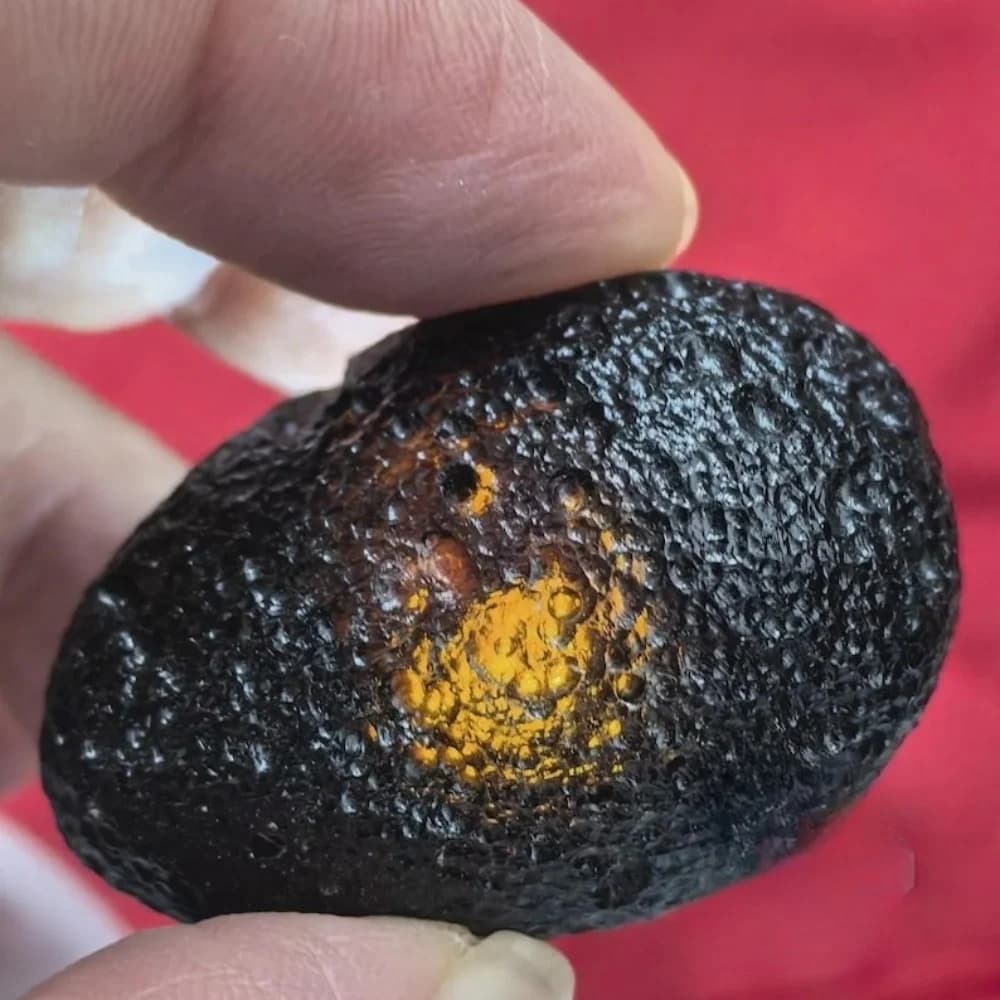 Pierres de météorite Tektite noire naturelle, spécimen minéral irrégulier, pierres brute pour la fab