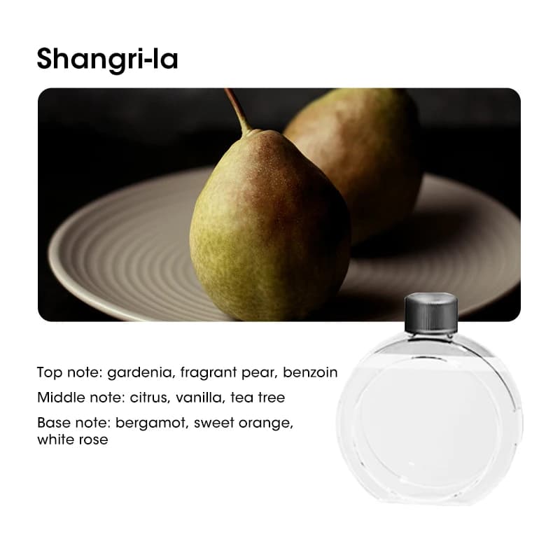 Mini diffuseur d'aromathérapie USB, nébuliseur d'huile essentielle pour la désodorisation de la mais