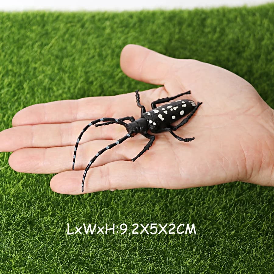 Figurines d'insectes en plastique réalistes avec cigale Cricket scarabée abeille fourmi araignée coc