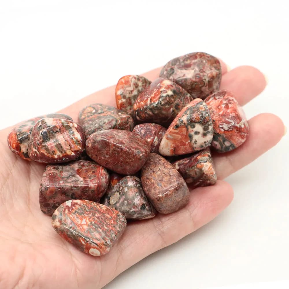 Pierres tombées de Tourmaline noire naturelle, cristal de guérison en vrac, spécimen de minéraux éne