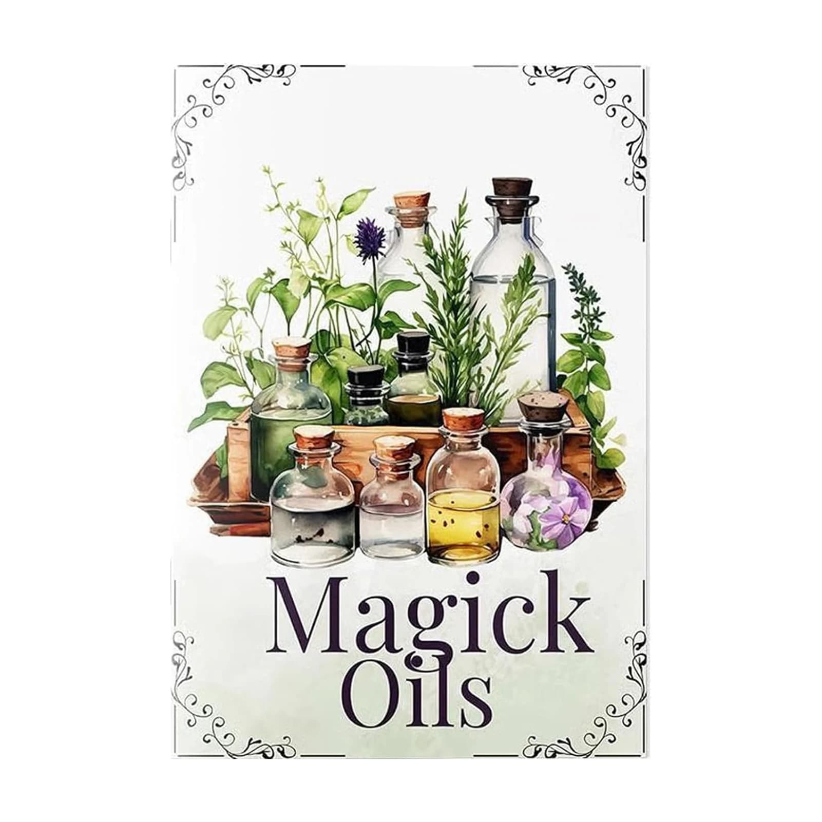 Guide de sort de sorcières de cuisine, expédition des propriétés de l'huile magique, cadeau idéal po