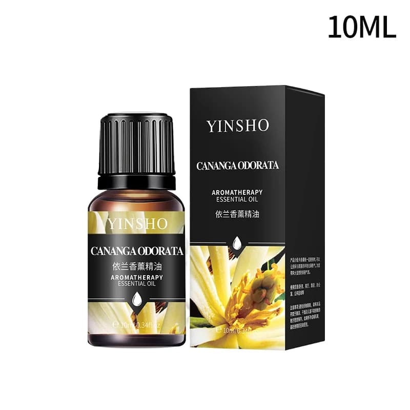 Plante à base de plantes aromathérapie huile essentielle café bois de santal bois arôme vanille Rose