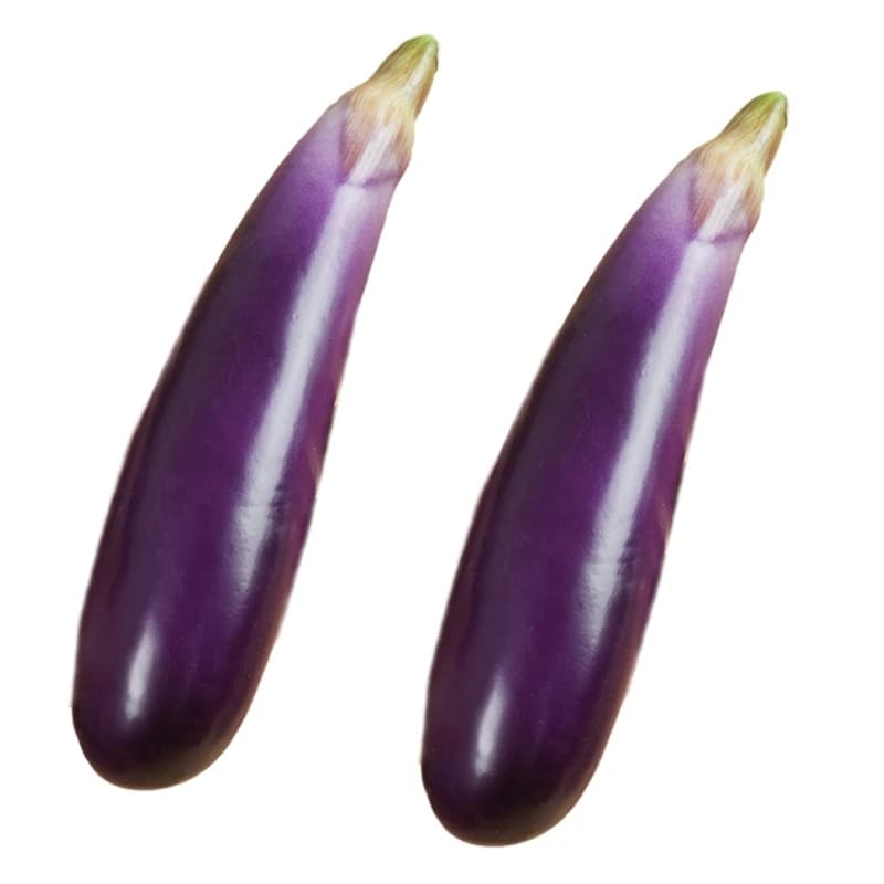 Aubergines en mousse pour photographie, décoration végétale artificielle légère, 2 pièces