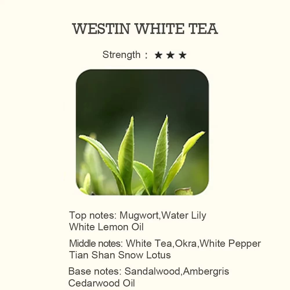 Diffuseur d'huiles essentielles inspiré d'un hôtel de luxe, collection d'aromathérapie