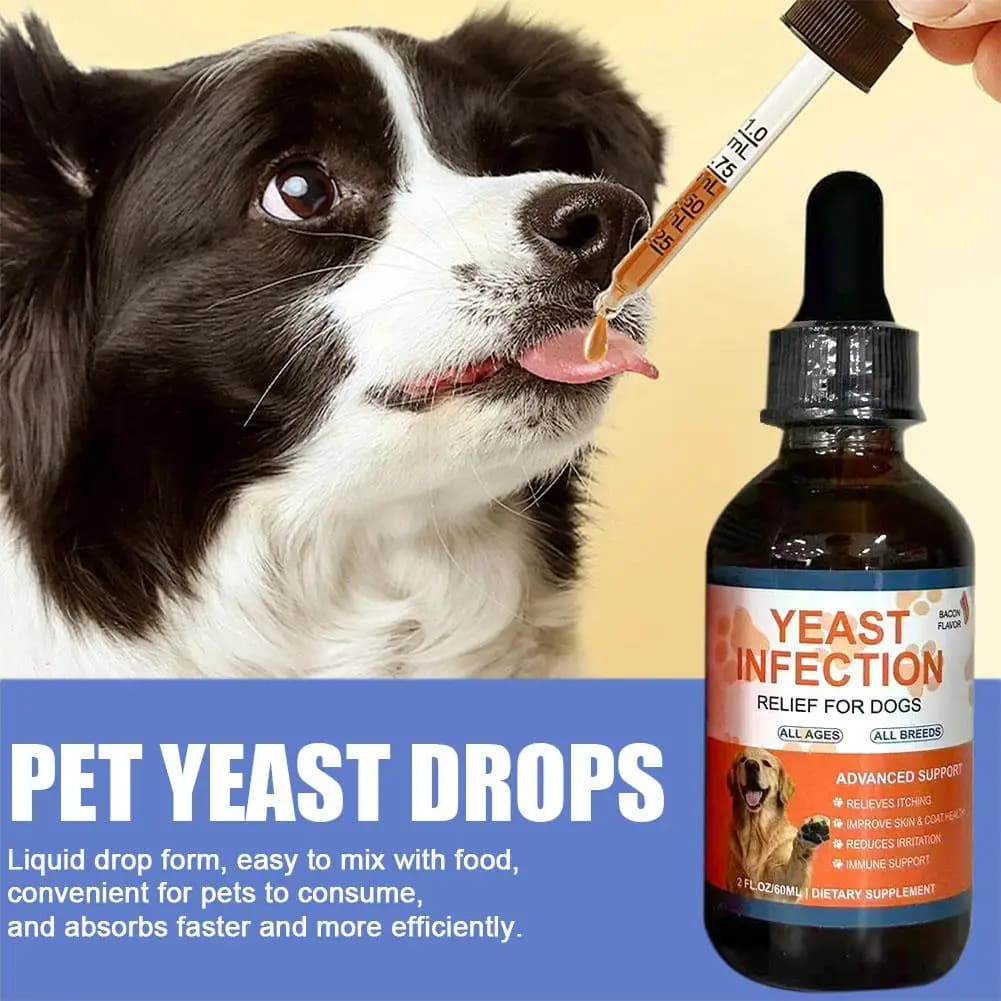 Complément liquide en gouttes de levure pour animaux de compagnie (chiens et chats) – Favorise la ré