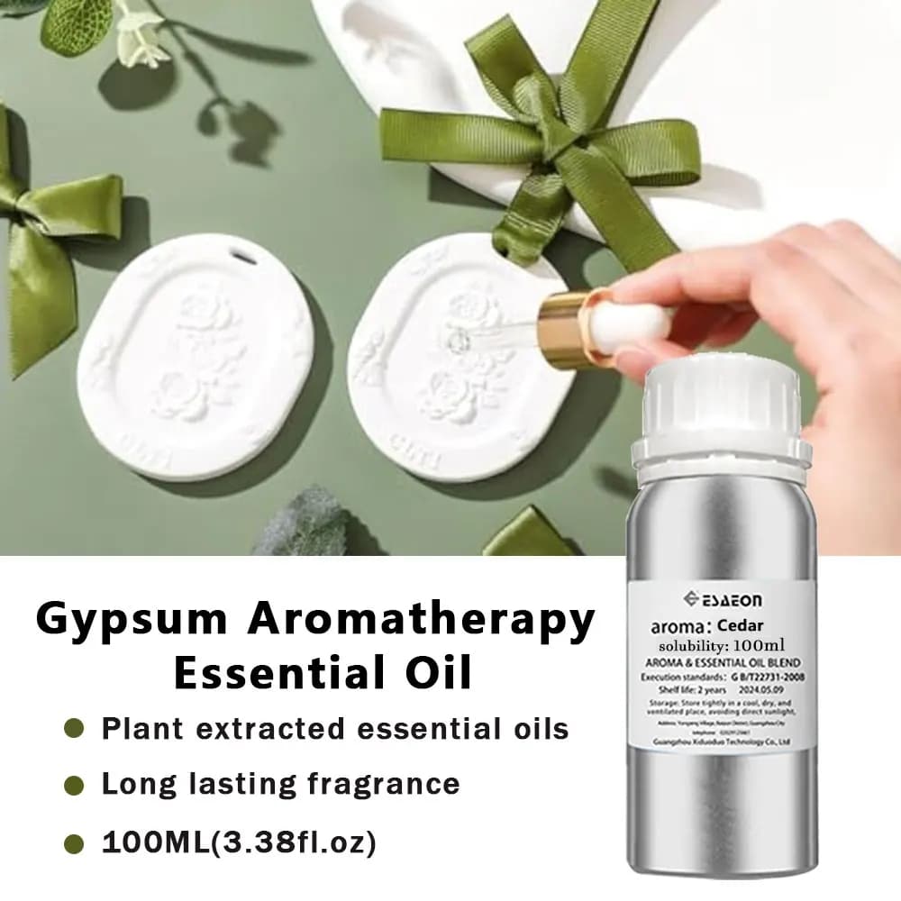 ESAEON 100 ml-huile essentielle d'aromathérapie au gypse, liquide de supplément diffuseur, pour pier