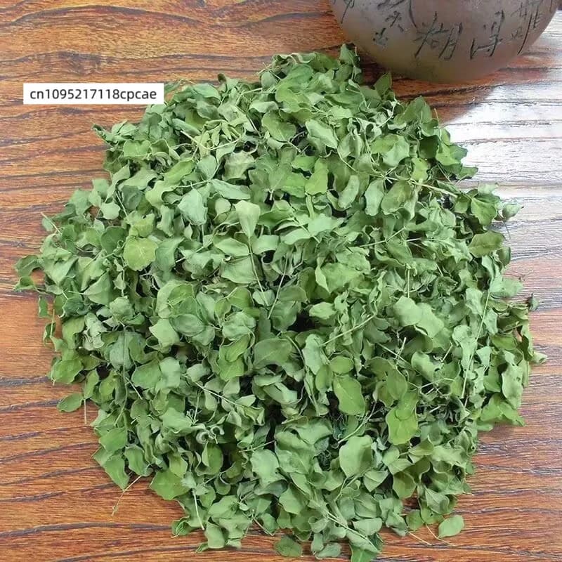 Feuilles de Moringa Oleifera séchées naturelles, feuilles de type « drumstick », matière végétale pu
