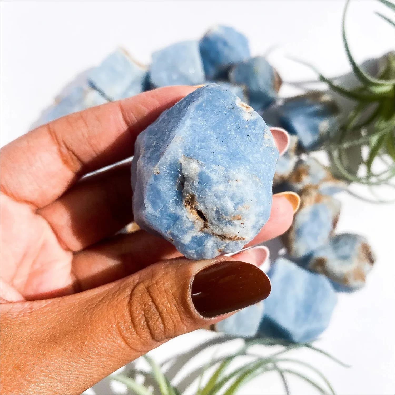Pierre brute d'Angélite naturelle-Collection de cristaux minéraux de haute qualité, décoration parfa