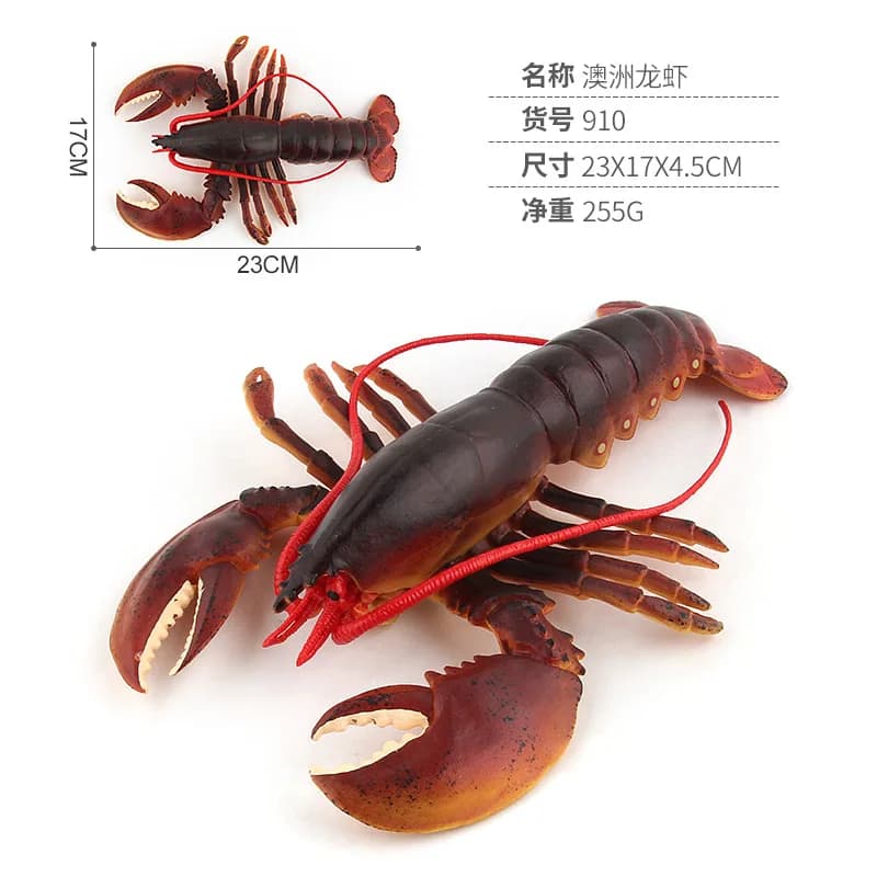 Modèles réalistes de homards marins, figurines solides de la faune marine, homard australien, homard