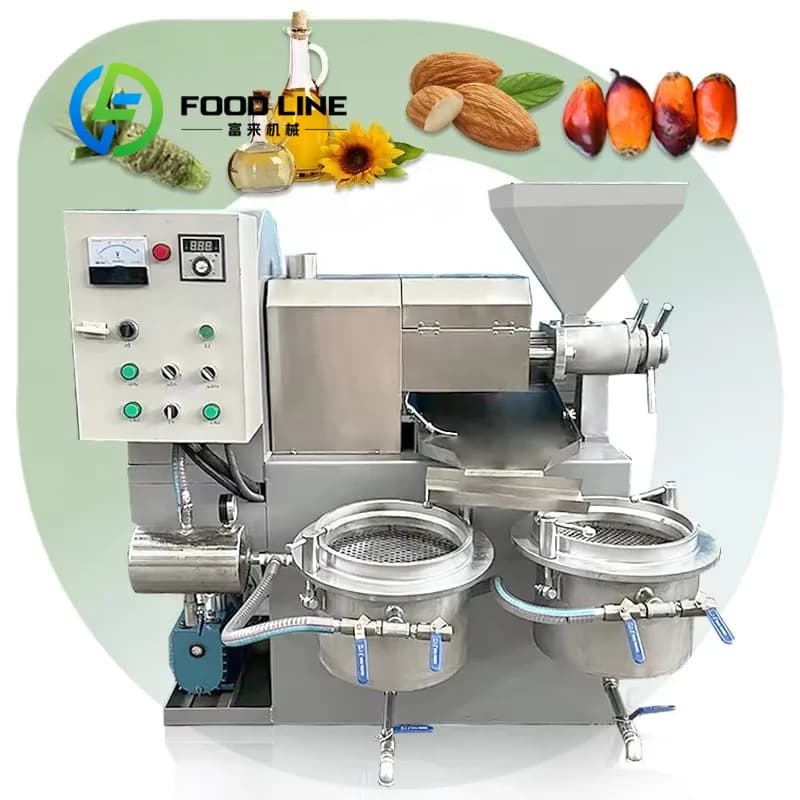 Presse à huile de noisette, d'arachide et de colza de haute qualité, grande machine de pressage pour