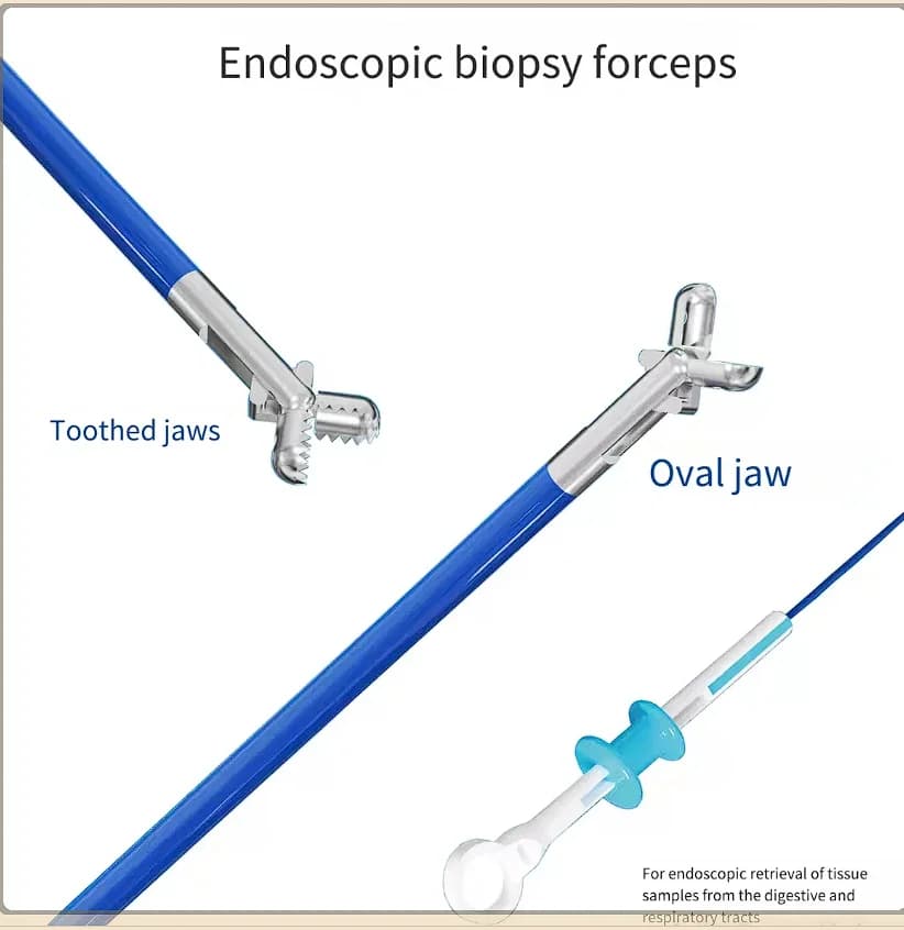FORCEPS d'échantillonnage d'endoscopie disponible, accessoires de diagnostic d'endoscopie digestive