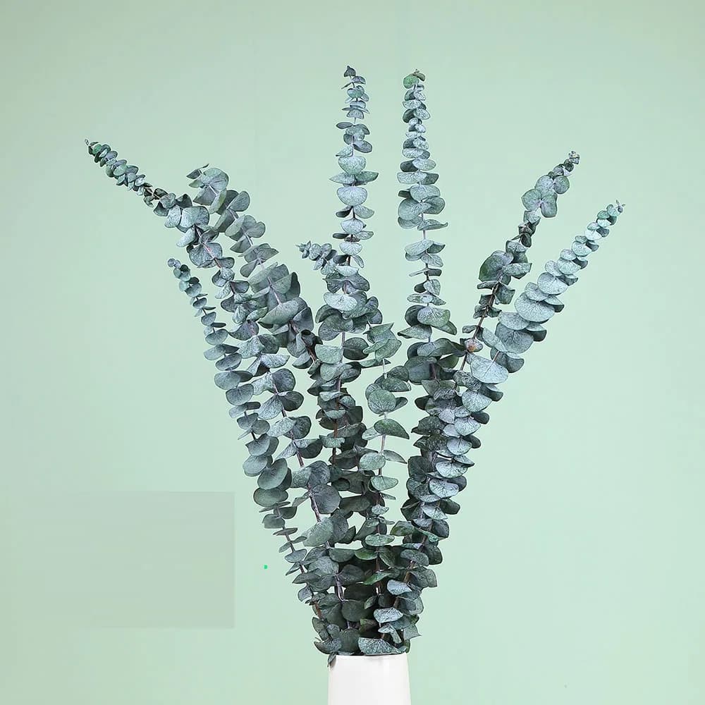 Feuille d'eucalyptus éternelle, matériel d'arrangement floral, accessoire de tir, remplissage de Vas