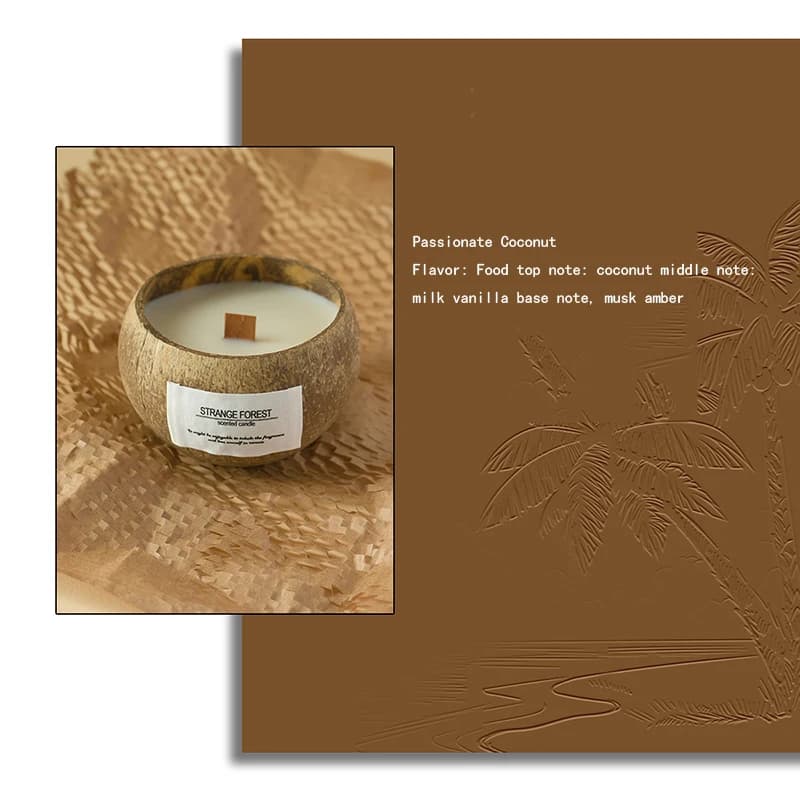 Bougie d'aromathérapie en coquille de noix de coco, huile essentielle, parfum de cire végétale Premi