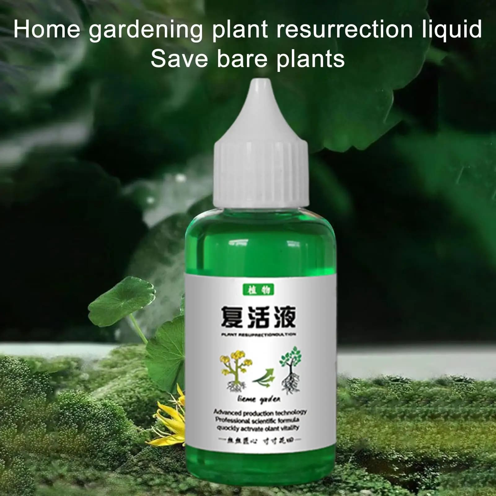 Liquide nutritif végétal 50ml, aliments pour plantes en plein air et en croissance du sol, favorise 