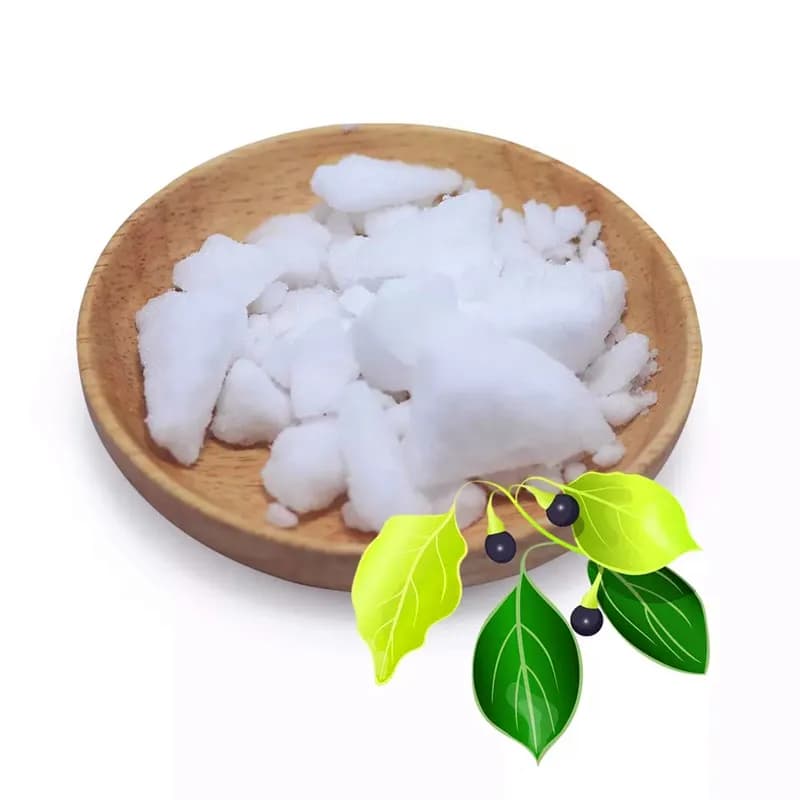 Poudre de camphre naturelle, médecine traditionnelle chinoise, utilisée pour les moisissures, les mi