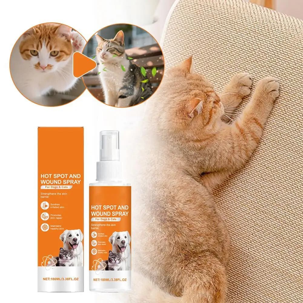 Spray de soin pour la peau des animaux de compagnie, 100ml, favorise la réparation de la peau, apais