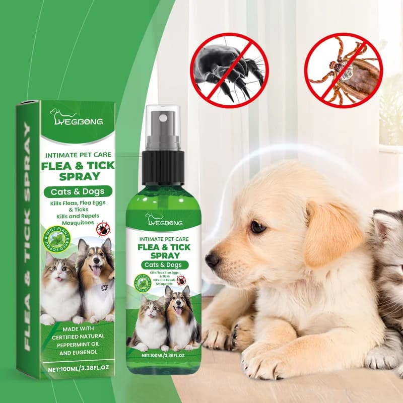 Spray anti-puces et tiques pour chiens et chats, répulsif d'insectes doux à usage quotidien, tue les