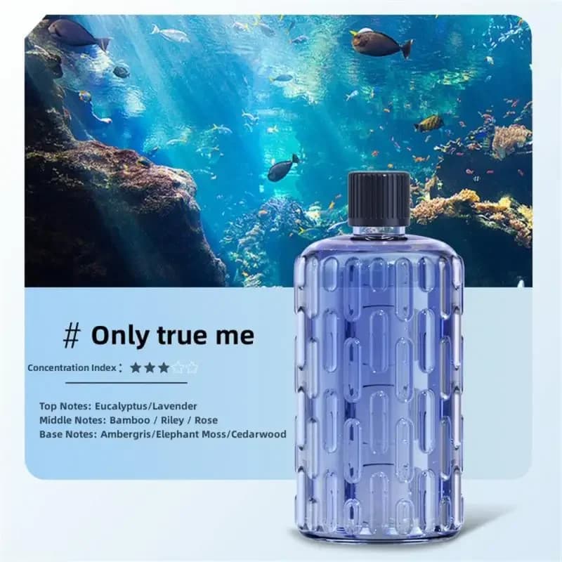 Diffuseur d'arômes, humidificateur, parfum, huile essentielle, machine d'aromathérapie, assainisseur