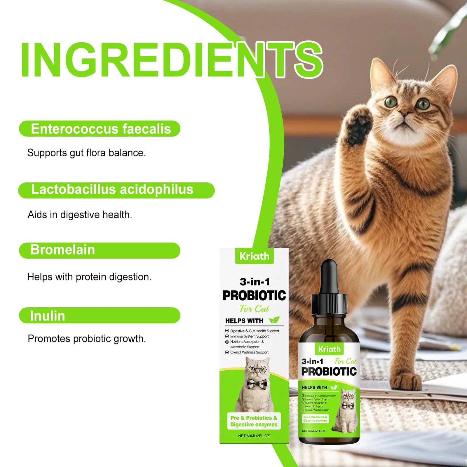 Gouttes probiotiques 3 en 1 pour chat – Soutient l'équilibre intestinal, une absorption facile et un