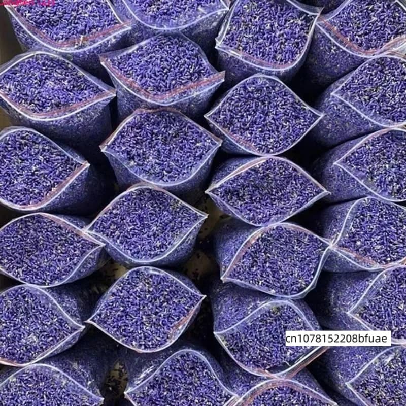 Bouquet de lavande séchée biologique premium 6A, fleurs de lavande séchées naturelles pour pot-pourr