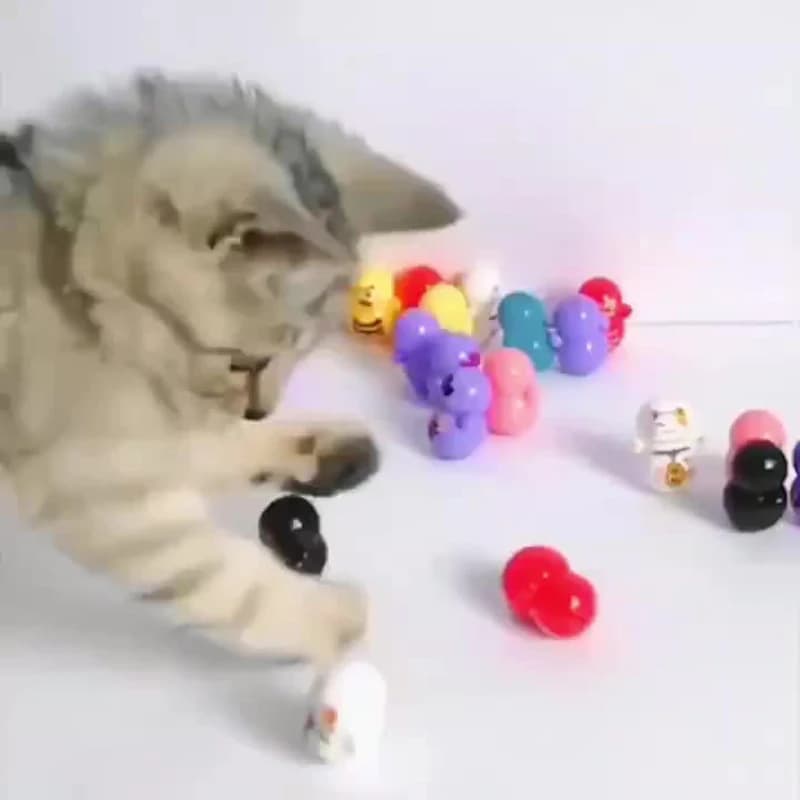 10 jouets roulants pour chat d'intérieur