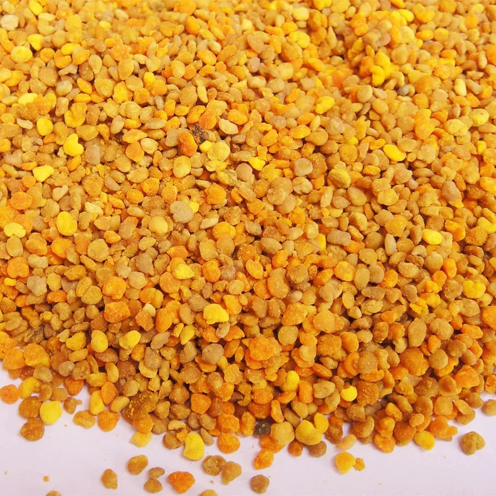 Pollen d'abeille 500g, produits apicoles pour l'alimentation des abeilles, outils d'apiculture, pollen 100% naturel