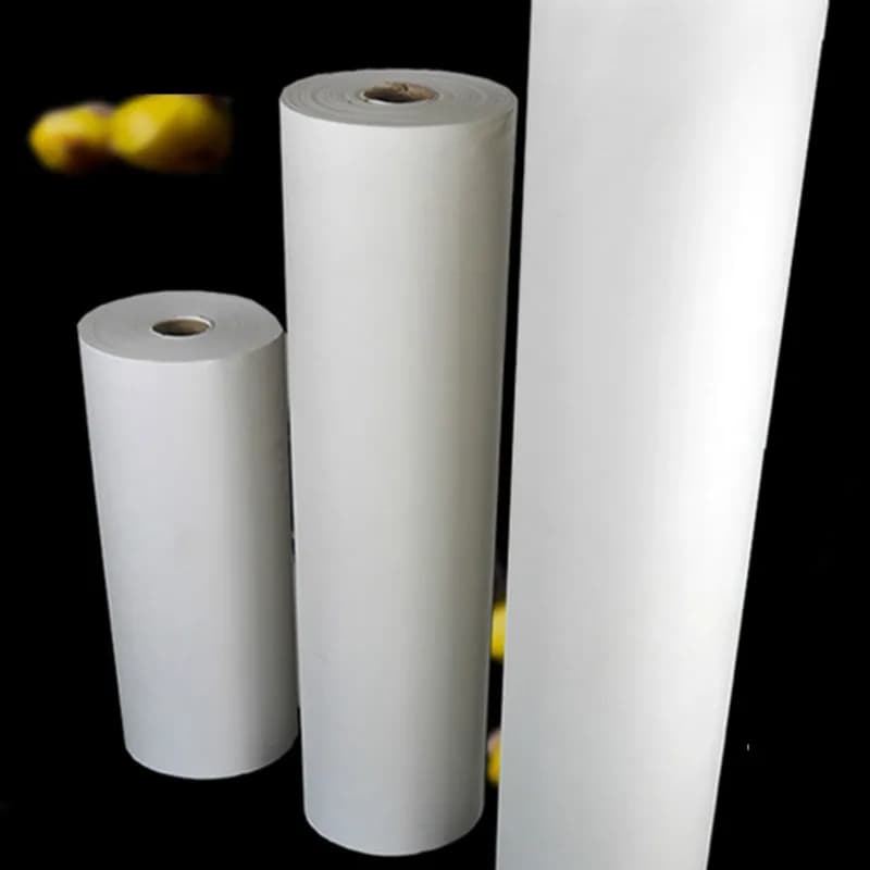 Rouleaux de papier de riz chinois