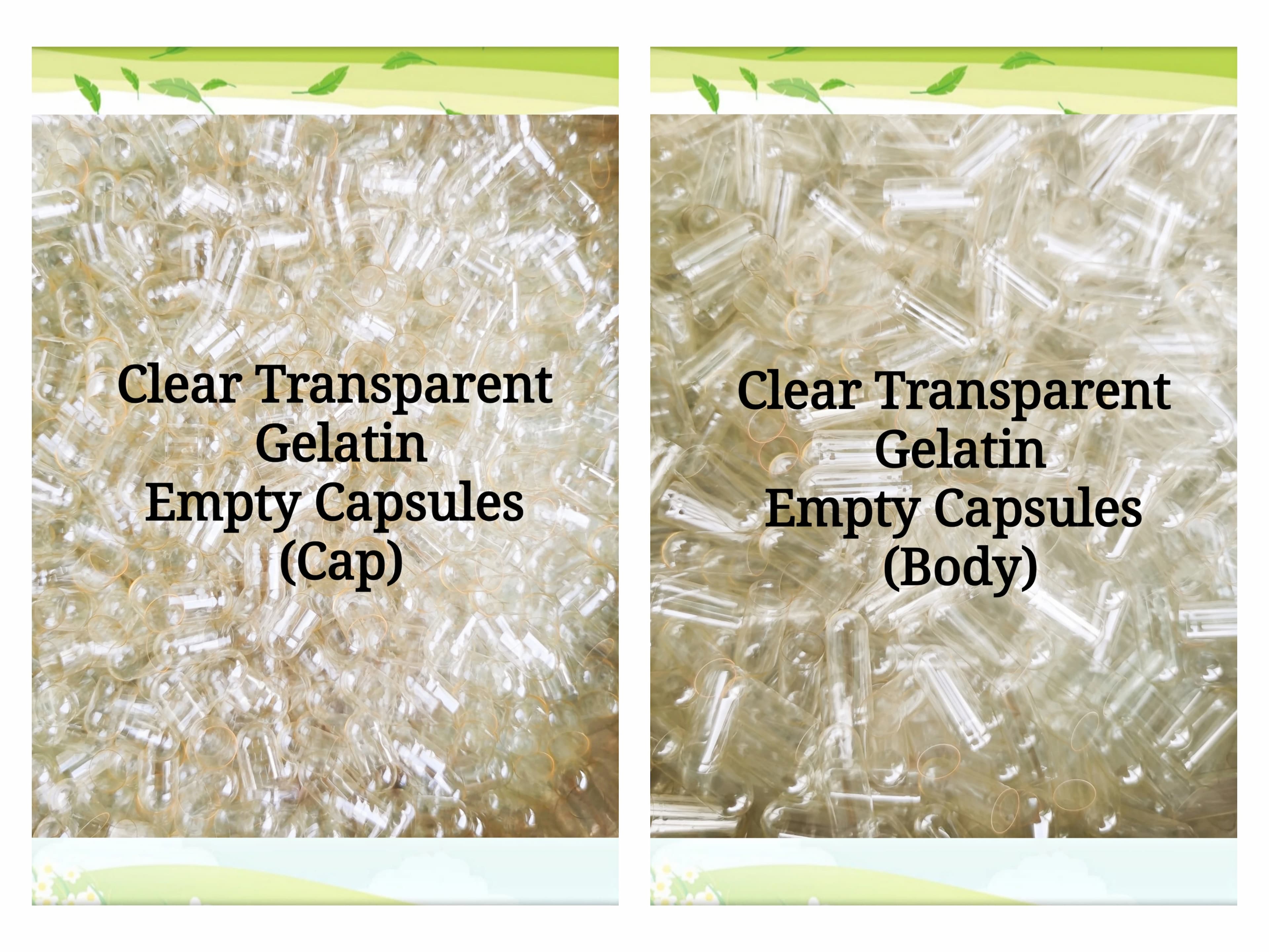 Capsules vides transparentes en gélatine dure, taille 0, 5,000 pièces (Capsules jointes ou séparées disponibles!)