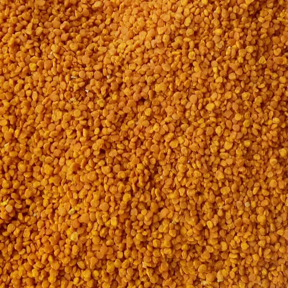 Pollen d'abeille 500g, produits apicoles pour l'alimentation des abeilles, outils d'apiculture, pollen 100% naturel