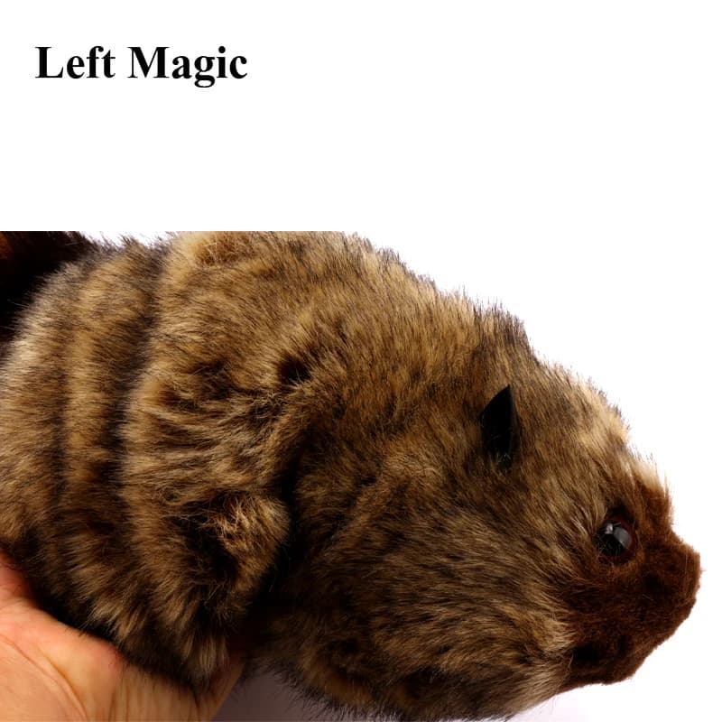 Le raton laveur rocheux magique Robbie tours de magie scène illusion de rue accessoires Gimmick accessoire drôle apparaître printemps Animal Magie jouet
