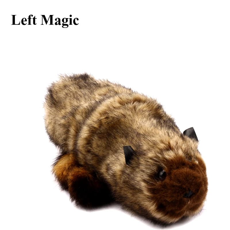 Le raton laveur rocheux magique Robbie tours de magie scène illusion de rue accessoires Gimmick accessoire drôle apparaître printemps Animal Magie jouet
