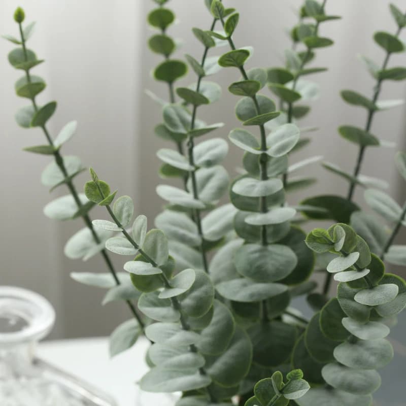 Fausses feuilles d'eucalyptus artificielles