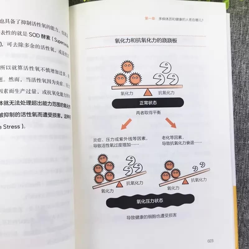 Guide de style de vie anti-inflammatoire, anti-âge et anti-sucre : Recettes saines pour prévenir les maladies et ralentir le vieillissement - Livre