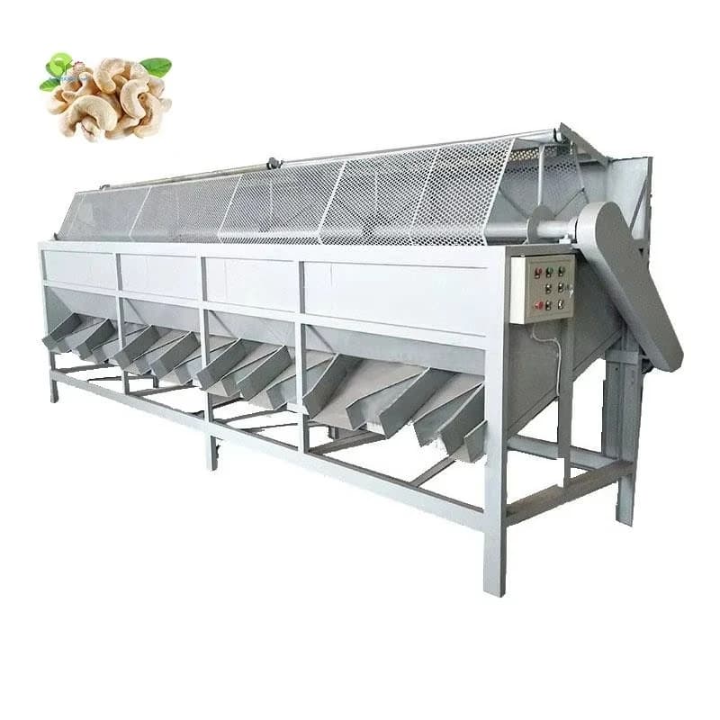 Ligne de traitement des noix entièrement automatique sur mesure pour la production de noix de cajou brutes, machines automatiques pour la production de noix de cajou pour usine