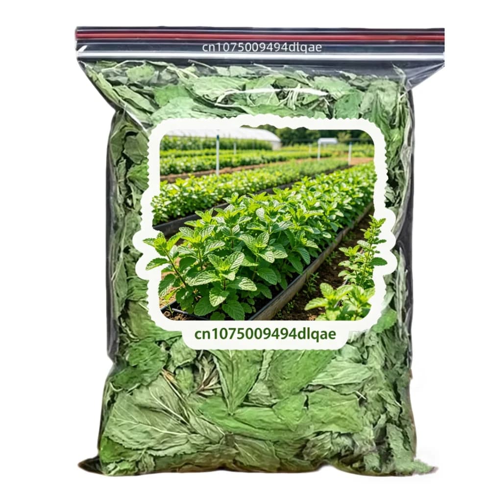 Feuilles de menthe naturelles séchées de haute qualité, poudre de menthe pour sachets, garniture pour bain de bouillotte, pot-pourri, décoration intérieure, fabrication de savons et de bougies