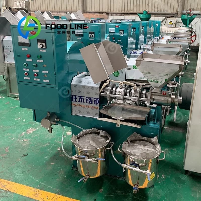 Presse à huile de noisette, d'arachide et de colza de haute qualité, grande machine de pressage pour usine de fabrication