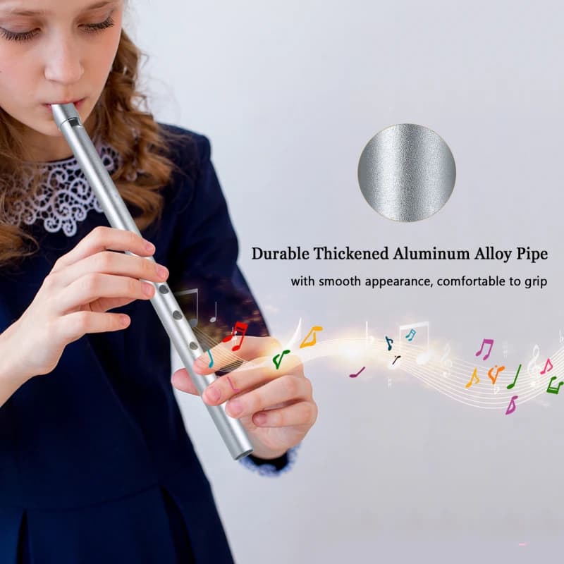 Sifflet irlandais traditionnel en étain, flûte à 6 trous, Instrument de musique à vent pour débutants, intermédiaires et experts, clé de C