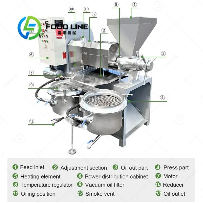 Presse à huile de noisette, d'arachide et de colza de haute qualité, grande machine de pressage pour usine de fabrication