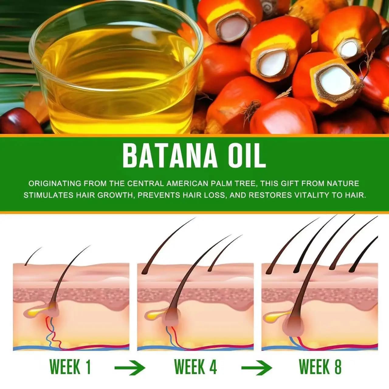 L'huile de Batana brute pour la croissance des cheveux 100 % naturelle peut empêcher la perte de cheveux dans les hommes et les femmes augmentent l'épaisseur et la douceur des cheveux
