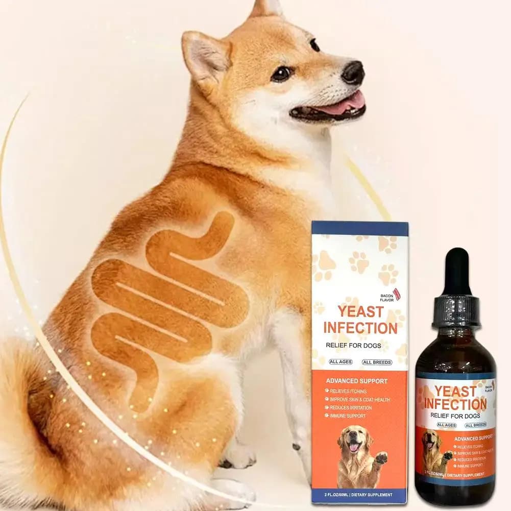Gouttes liquides de 60 ml pour chiens et chats contre les infections à levures – Complément pour la santé intestinale, le système immunitaire et la digestion