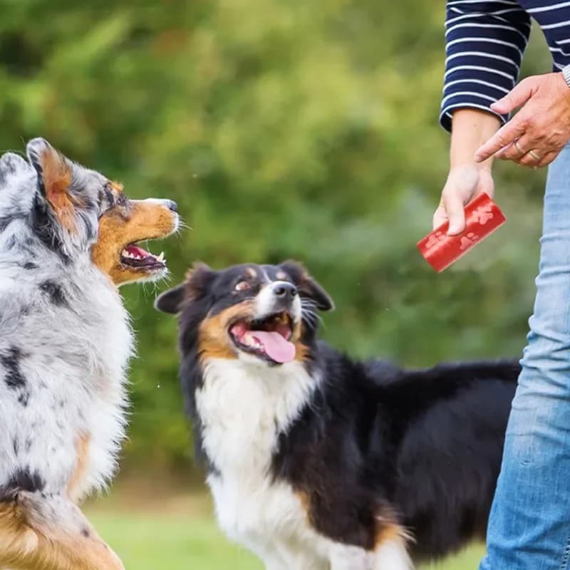 Sacs à excréments épais anti-fuite pour chiens, 2 à 30 rouleaux, pour promenades en plein air, poubelle biodégradable pour animaux de compagnie, sacs à déchets dégradables pour chats, fournitures pour