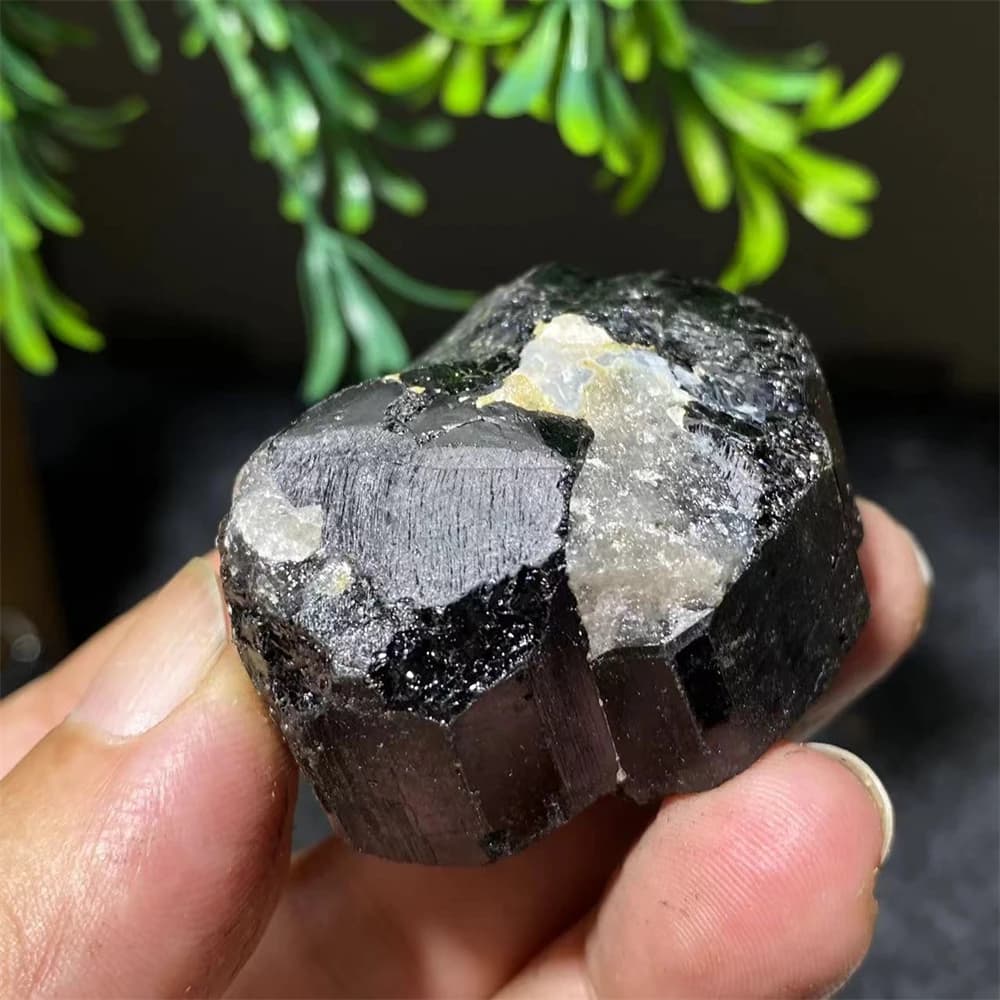 Tourmaline noire cristal Quartz naturel, charbon Wicca napSpecimen brut guérison décoration de la maison géode roche grappe pierres précieuses