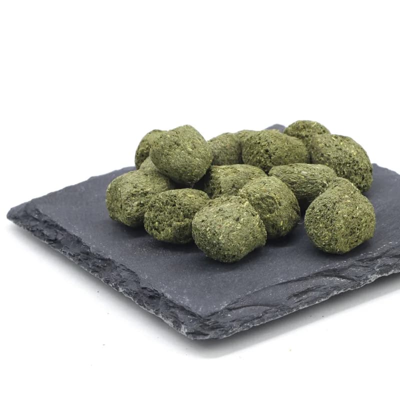 Formule de calcium alimentaire pour tortues YIGE, régime spécialisé pour Sulcata, étoile birmane, tortues rouges et léopard, nutrition à base de Mazuri