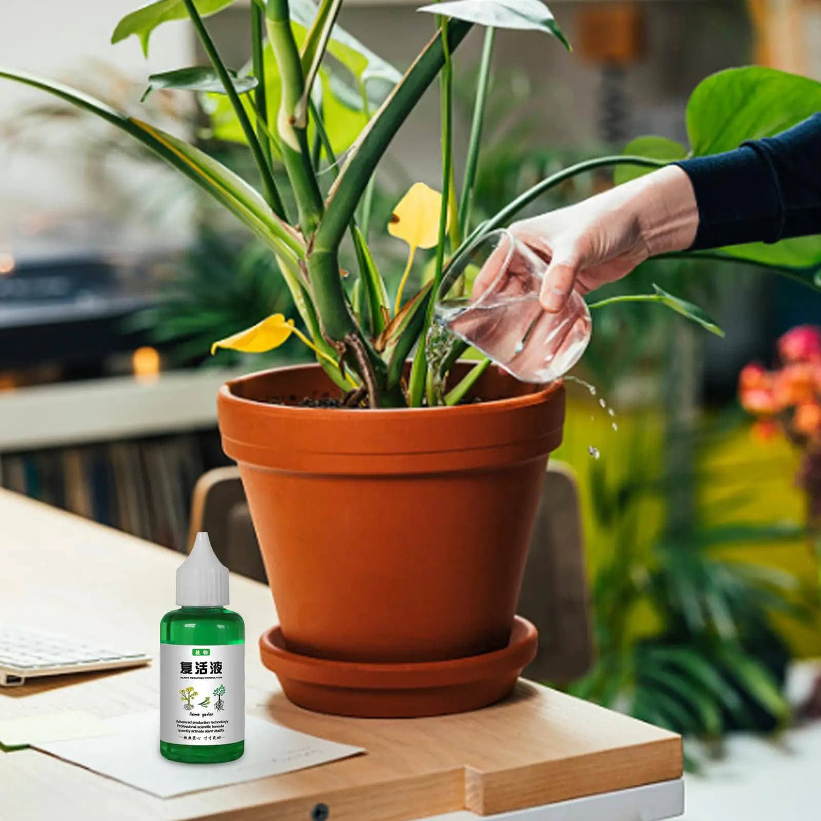Liquide nutritif végétal 50ml, aliments pour plantes en plein air et en croissance du sol, favorise une croissance saine et forte, concentré liquide d'engrais