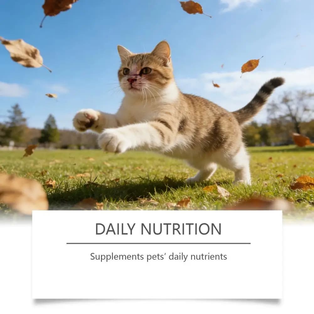 Acide aminé essentiel pour chats, supplément de taurine en poudre, soutient la santé immunitaire et la fonction cardiaque, soins de santé pour chats, 200g