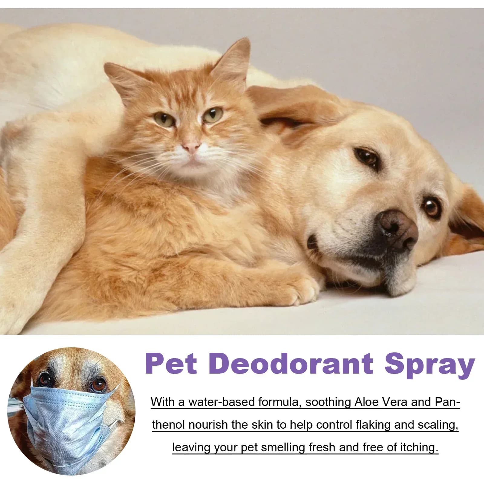 Spray désodorisant pour animaux de compagnie 50ml, parfum pour chien, huile de lavande, Spray désodorisant, Anti-démangeaison, parfumé, soins de beauté pour animaux de compagnie, chat et chien