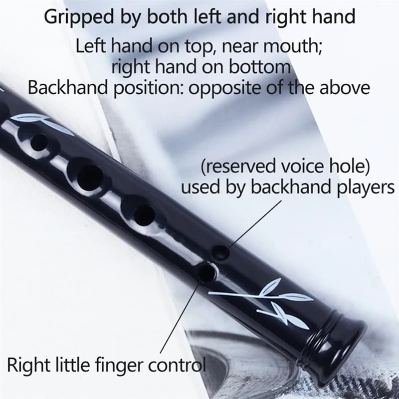 Sifflet en étain irlandais à 6 trous, avec étui, clé de flûte C D, Instrument à vent pour amateur de musique