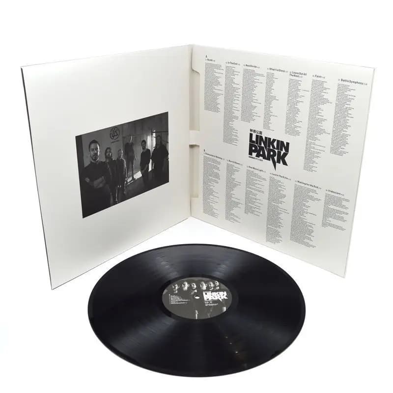 Disques vinyles les plus populaires, 12 pouces, 33 tours, albums de musique rock, groupes européens et américains, lecture sur gramophone, CD