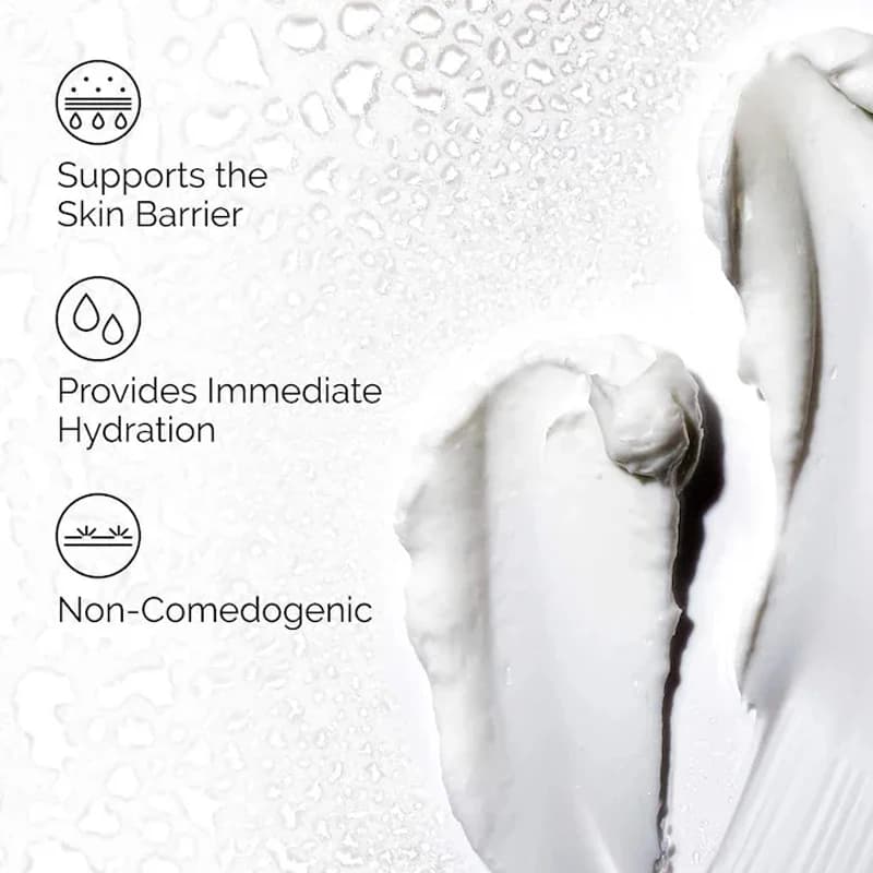 Facteurs hydratants naturels + Acide hyaluronique Crème hydratante quotidienne avec acides aminés et lipides dermiques pour une peau protégée et régénérée