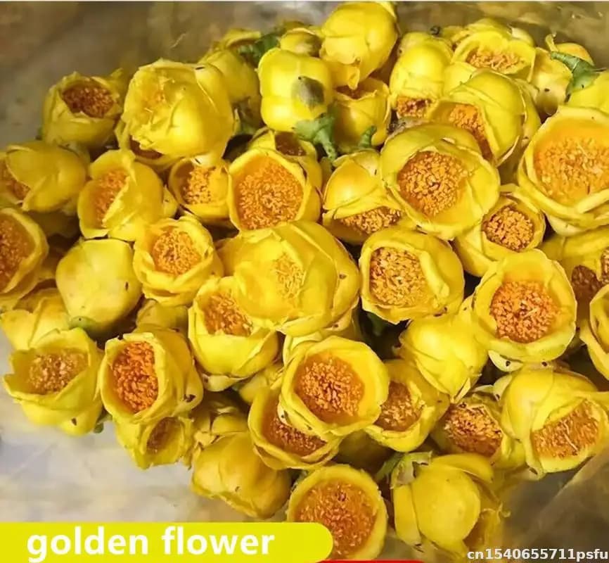 Fleur sèche de camélia naturelle de qualité supérieure, pour bougie d'essence d'aromathérapie, fabrication de savon, décoration de maison